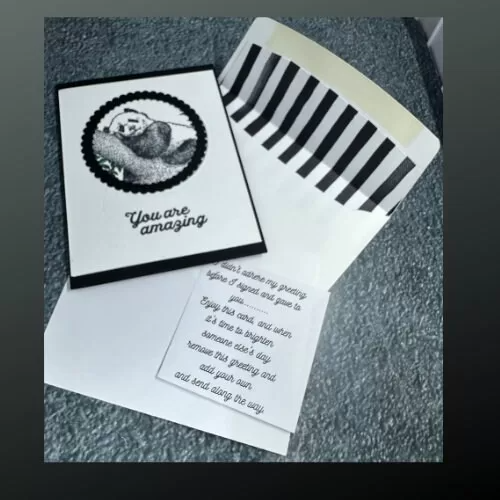 Adorable Panda Napping Card – “You Are Amazing” – Cute Animal Design –...