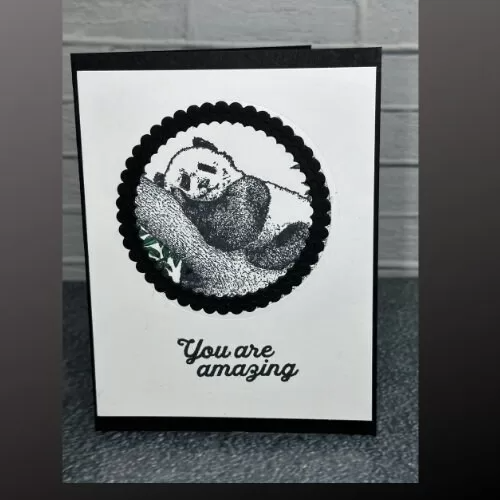 Adorable Panda Napping Card – “You Are Amazing” – Cute Animal Design –...