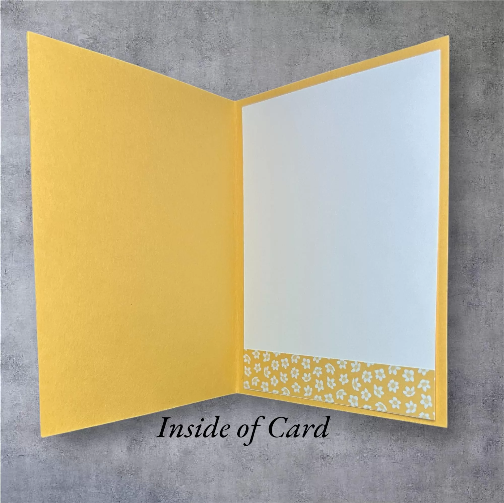 Fun Card That Looks Like a Sweater Realistic Zipper and Pockets Blank Card for Any Occasion